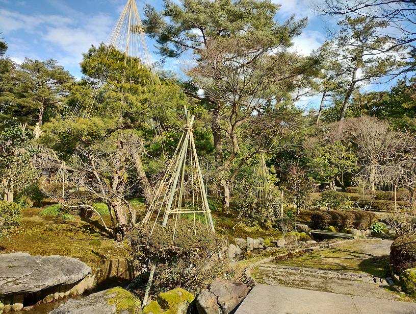 石川県金沢市兼六園の庭　雪つりをしている風景