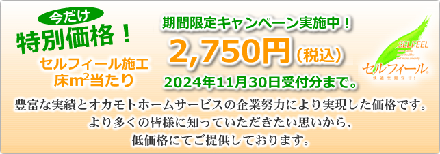 セルフィール施工特別価格2750円/㎡あたり　2019/12/27まで