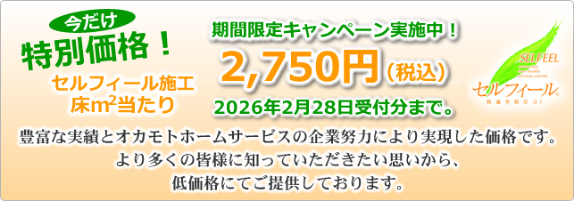 セルフィール施工特別価格2750円/㎡あたり 2025/3/31まで